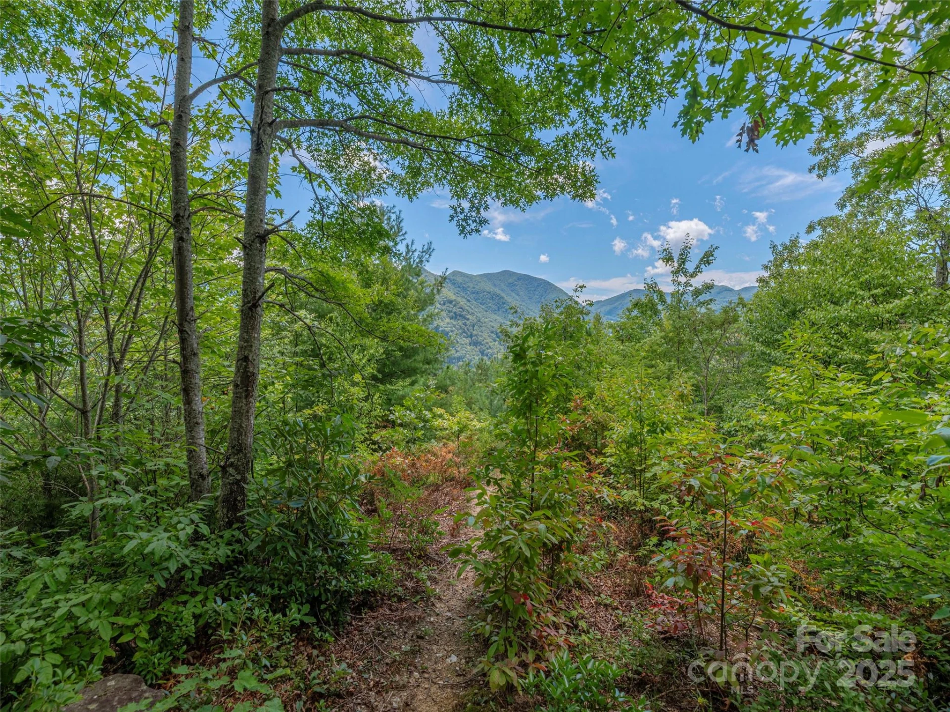 00 Split Rail Drive - Photo 5