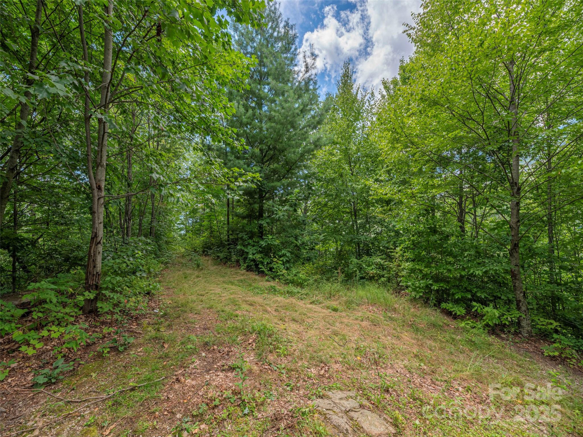 00 Split Rail Drive - Photo 7