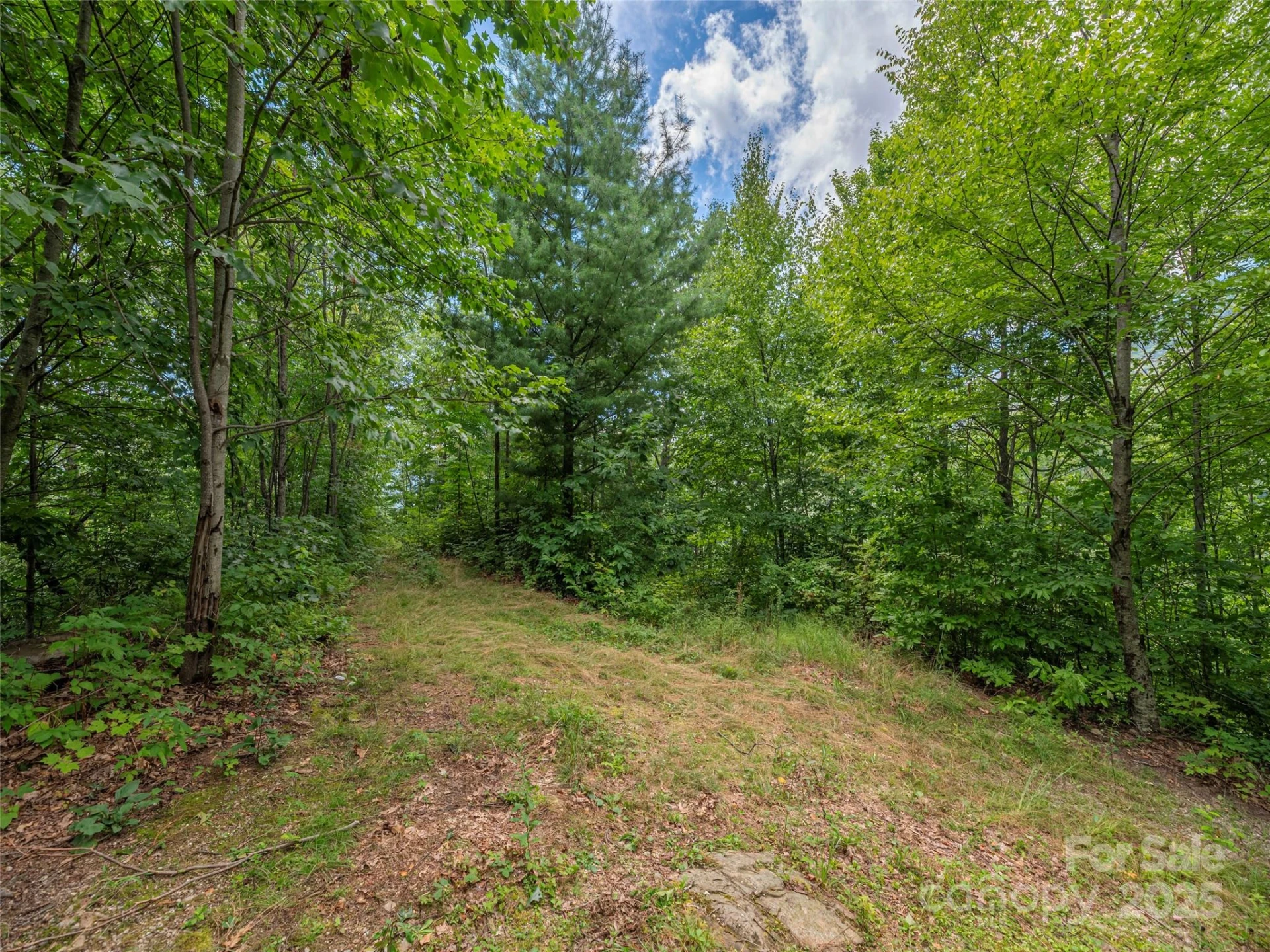 00 Split Rail Drive - Photo 7