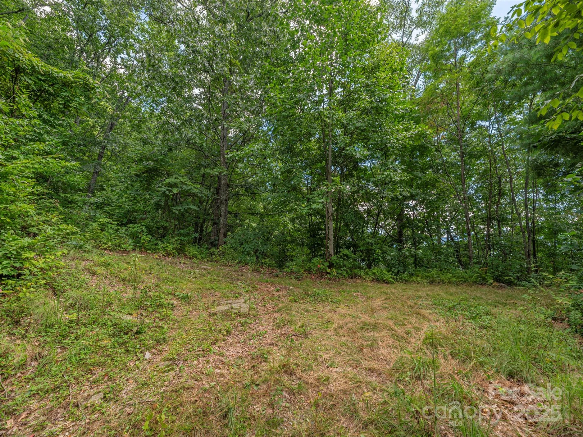 00 Split Rail Drive - Photo 8