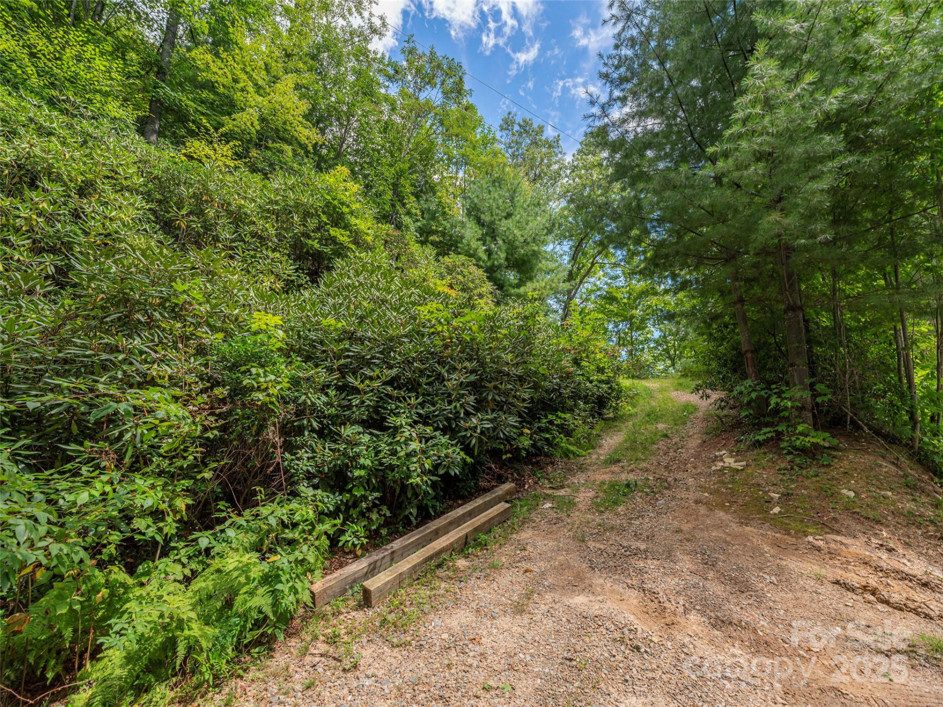 00 Split Rail Drive - Photo 9