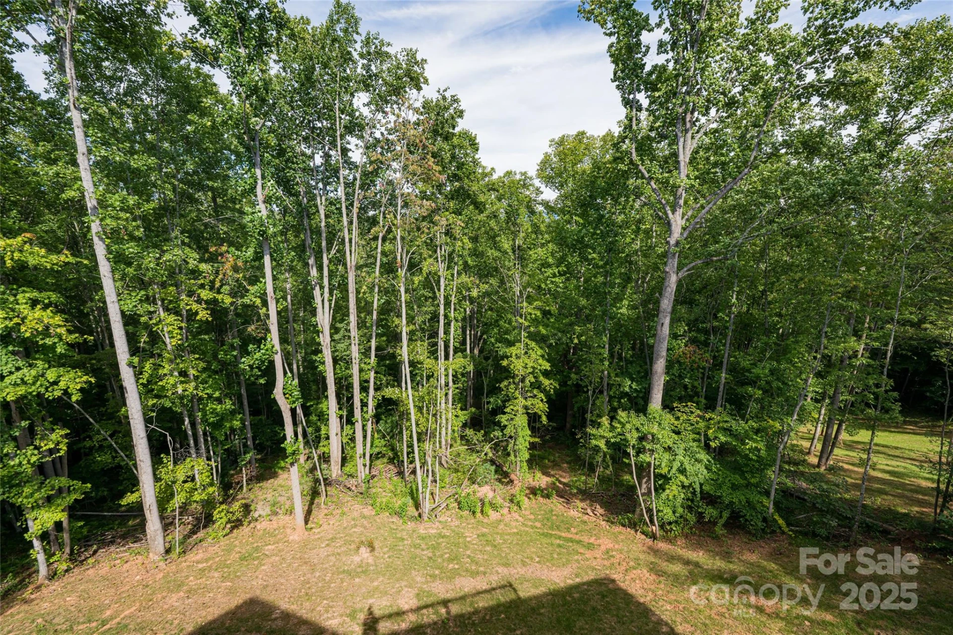 244 Country Drive - Photo 40