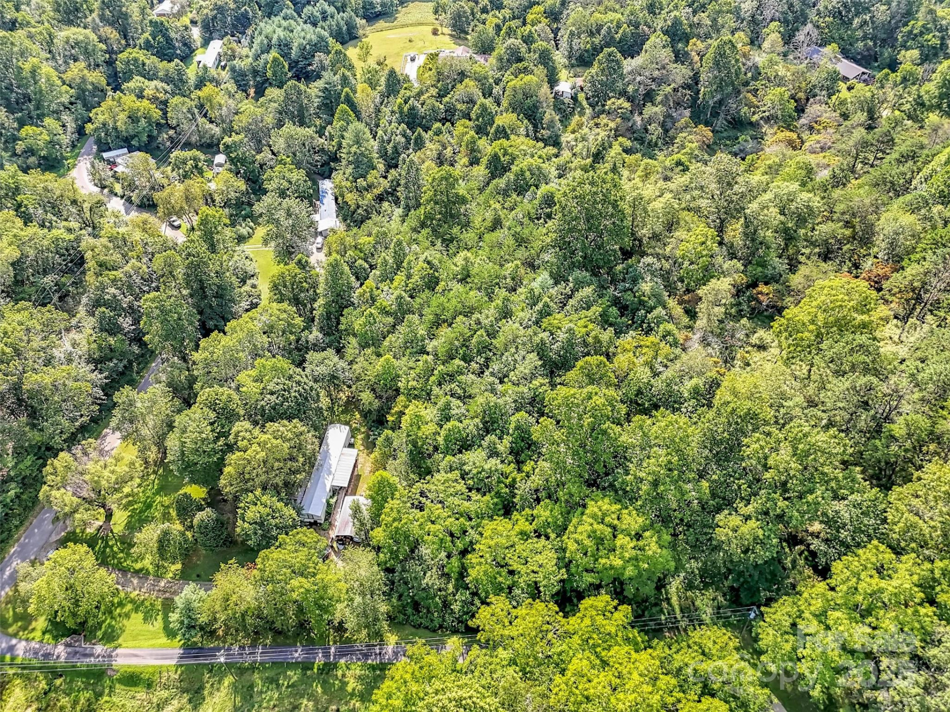 323 Jody Cove - Photo 2