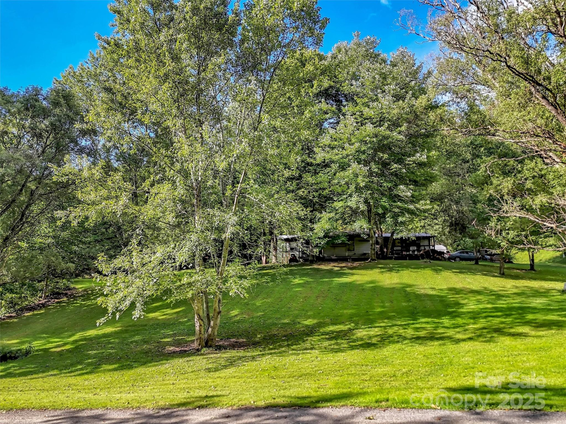 323 Jody Cove - Photo 11