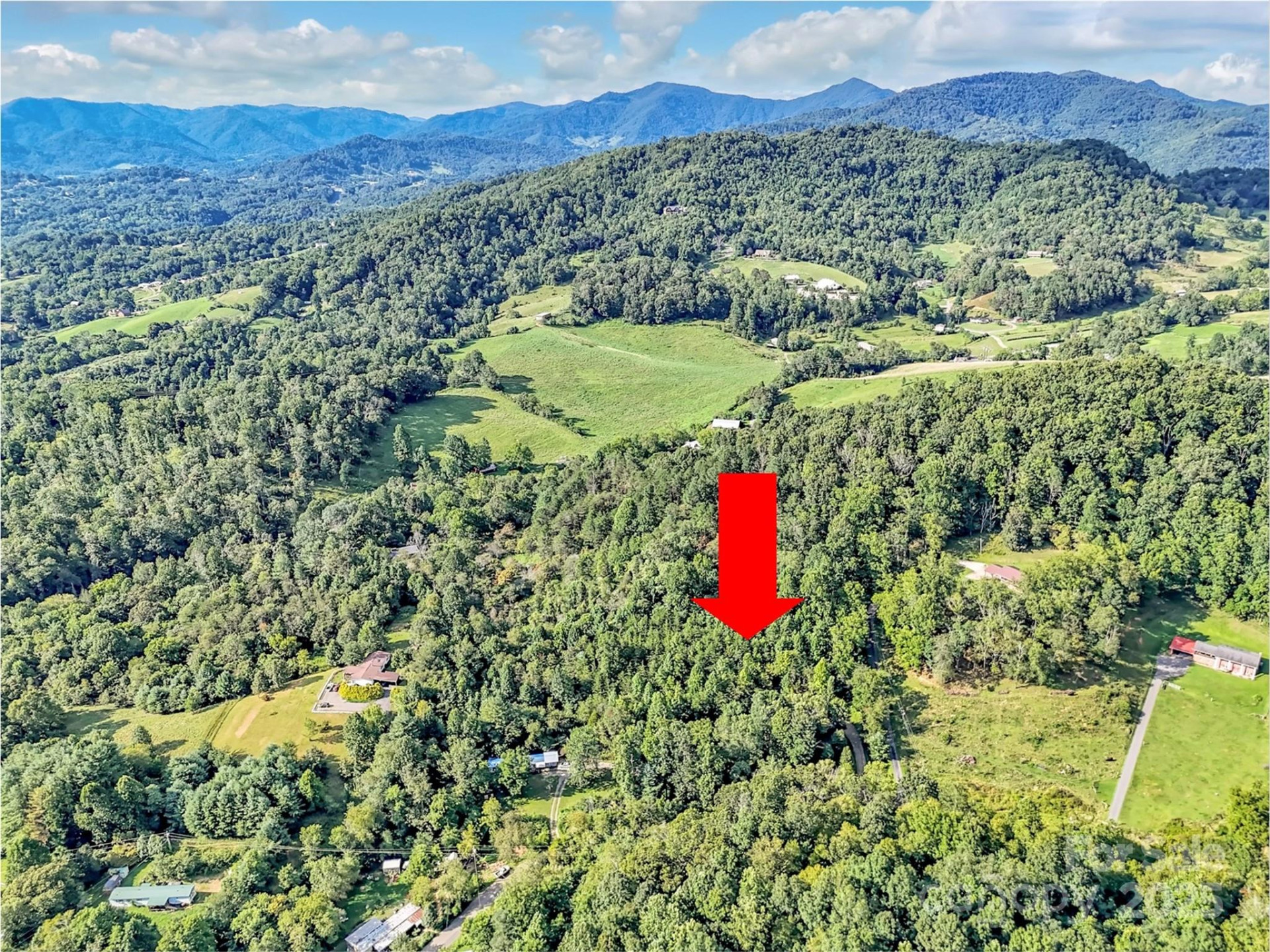 323 Jody Cove - Photo 3