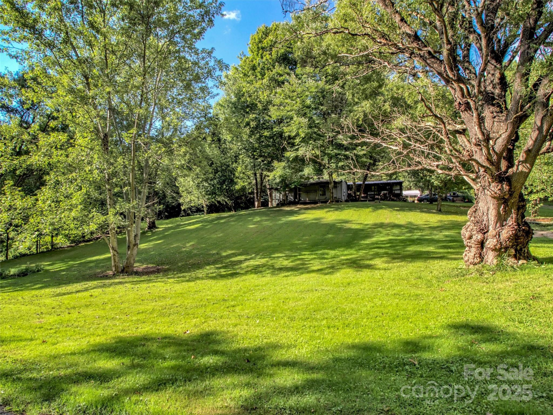 323 Jody Cove - Photo 6