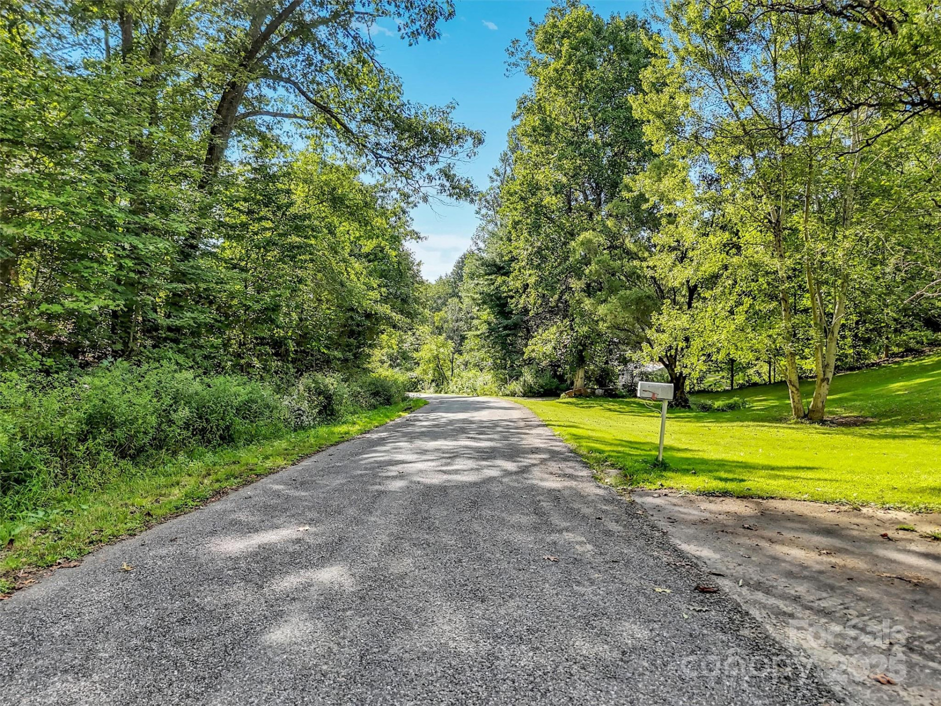 323 Jody Cove - Photo 9