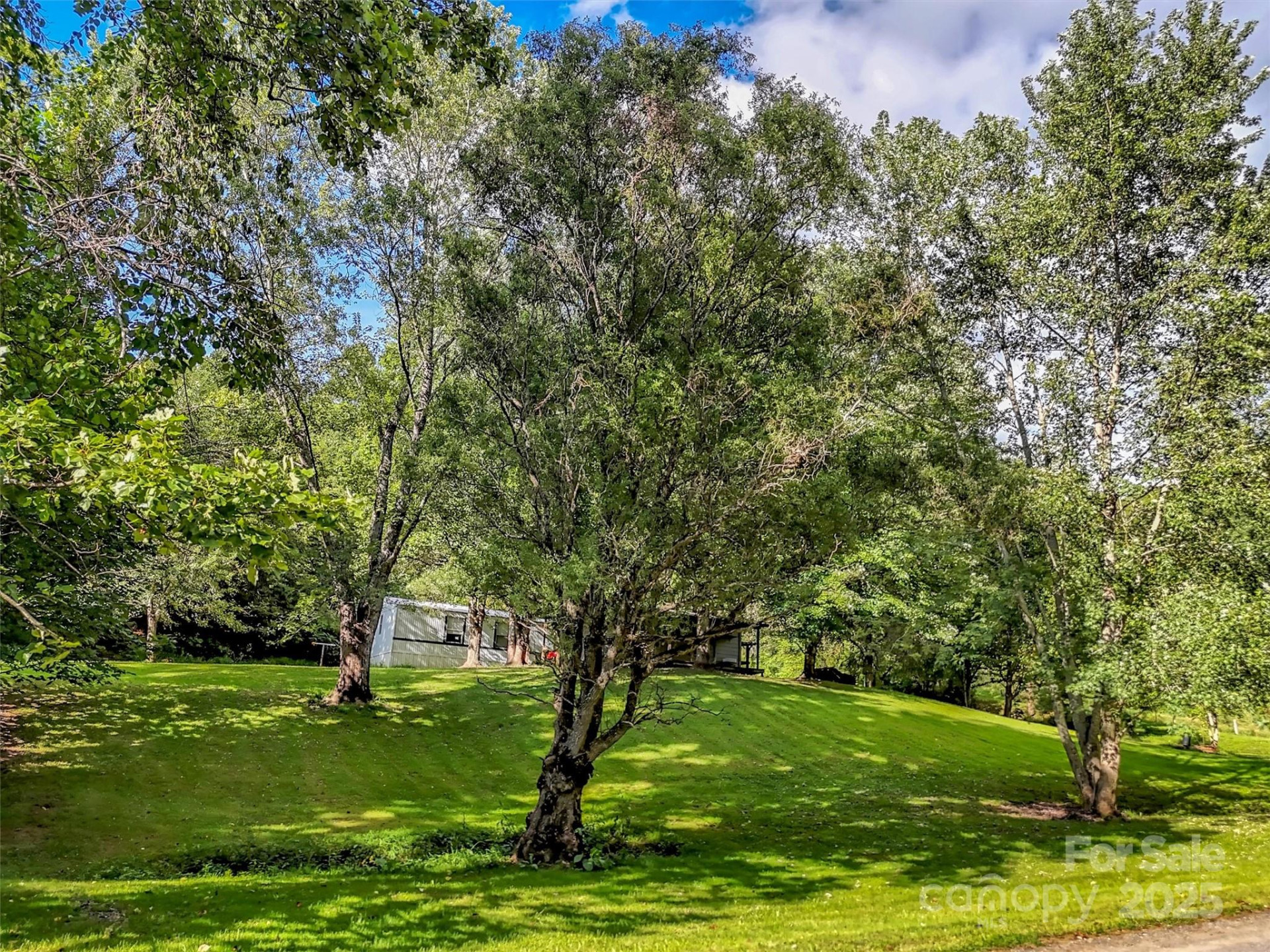 323 Jody Cove - Photo 10