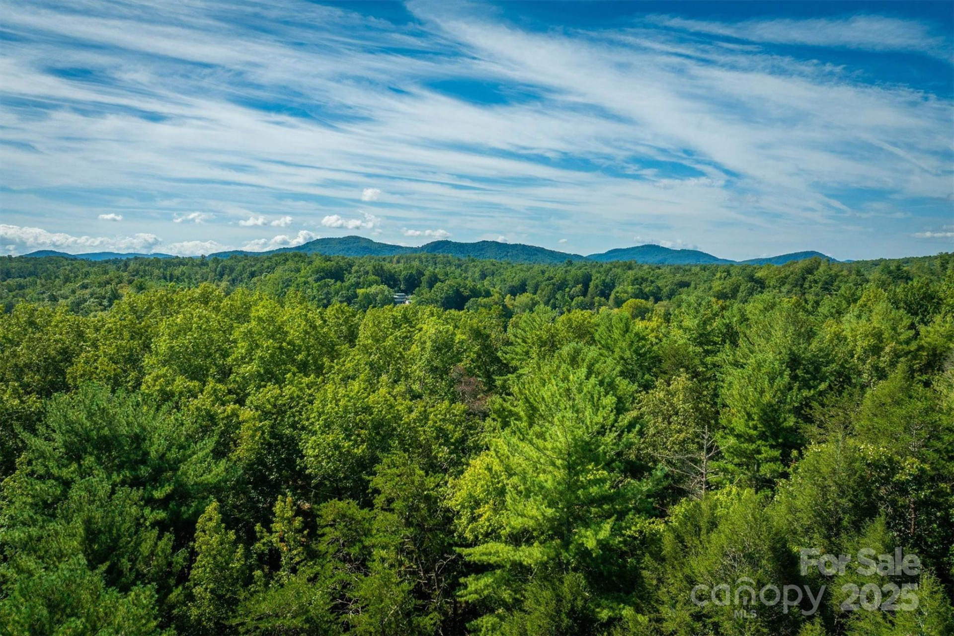 2205 Black Forest Drive #28 - Photo 12