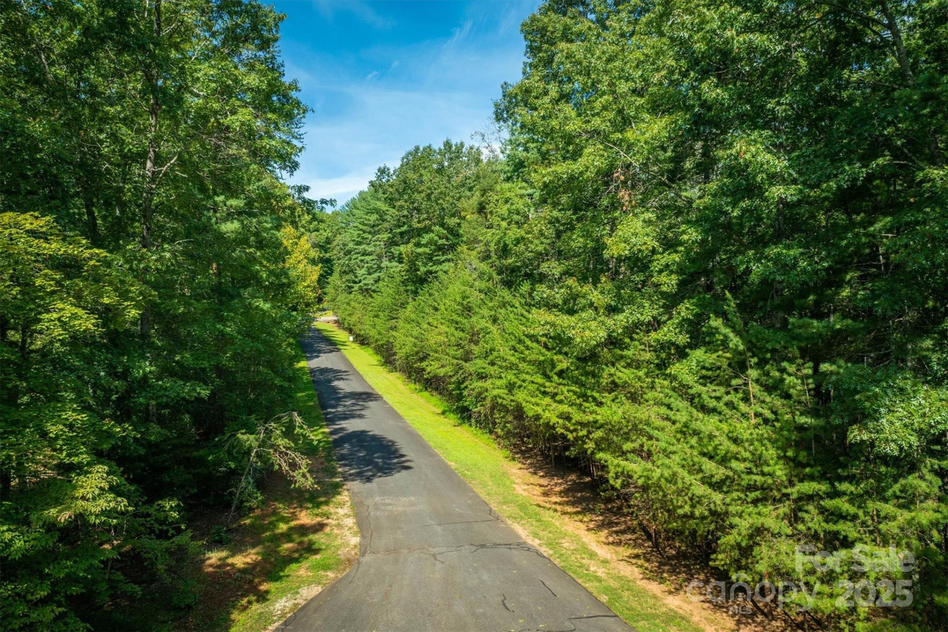 2205 Black Forest Drive #28 - Photo 13