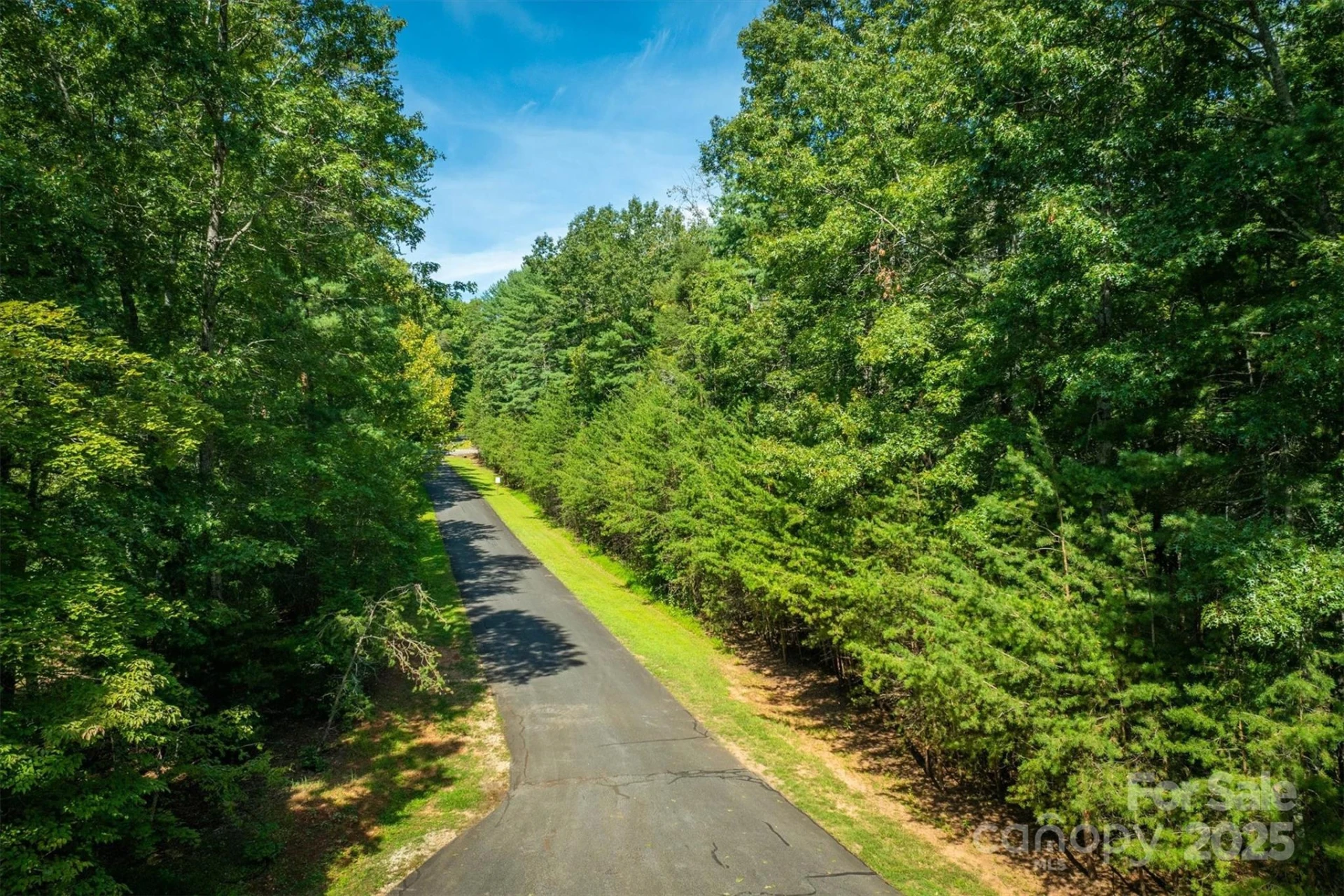 2205 Black Forest Drive #28 - Photo 13