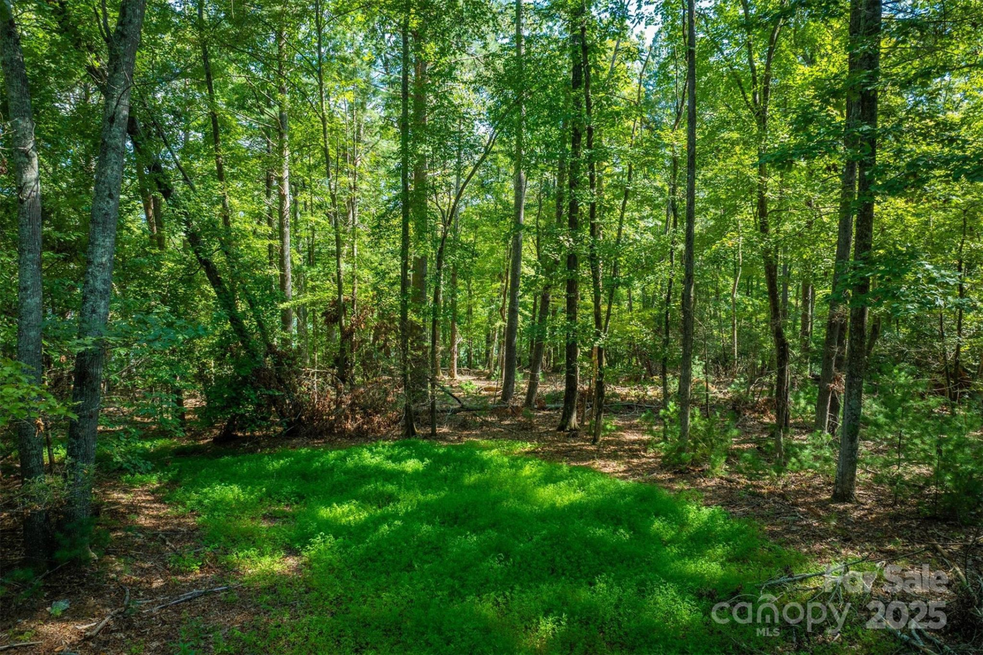 2205 Black Forest Drive #28 - Photo 14