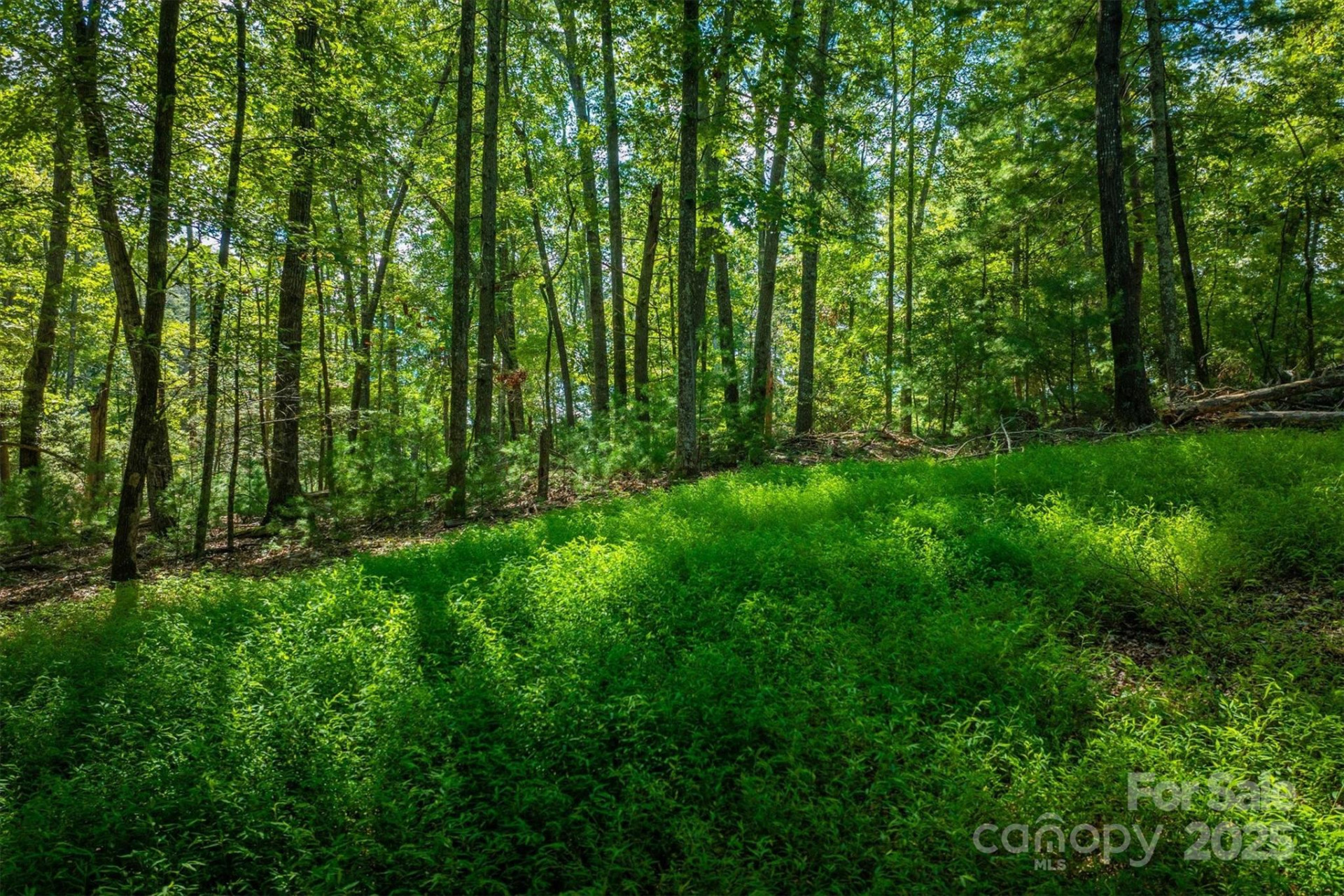 2205 Black Forest Drive #28 - Photo 15