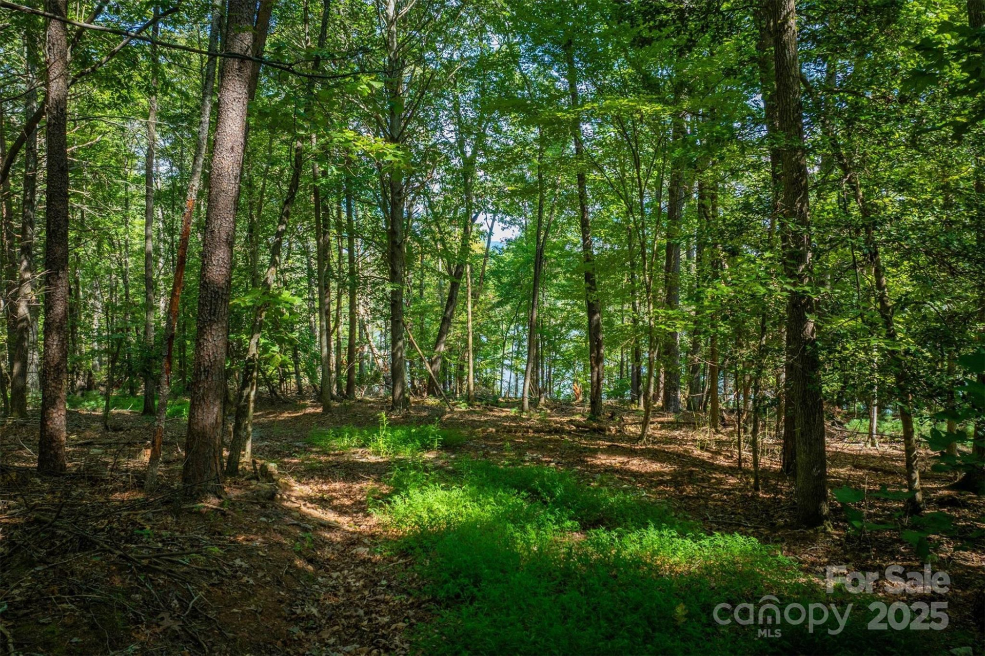 2205 Black Forest Drive #28 - Photo 16