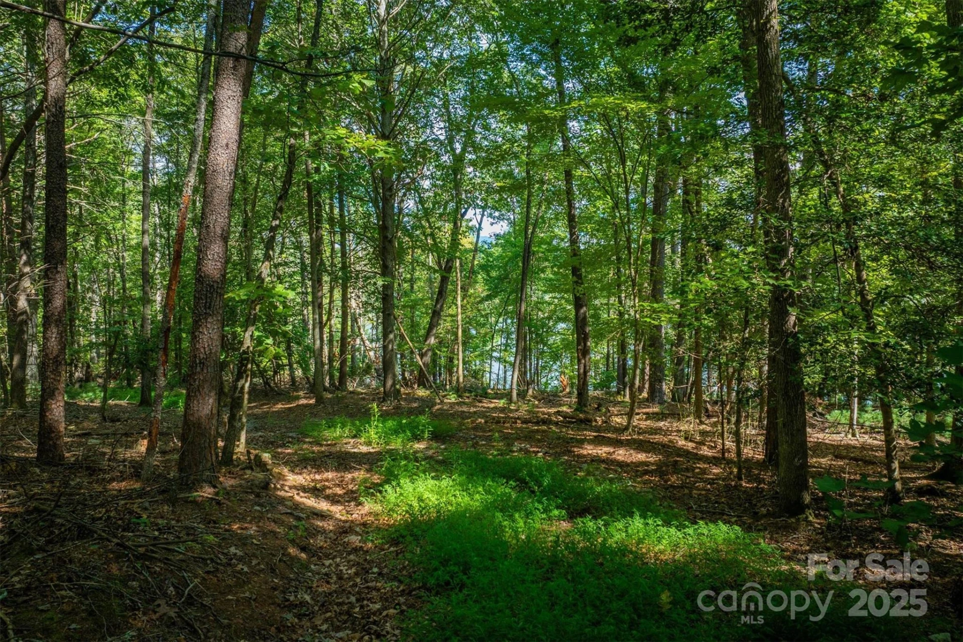 2205 Black Forest Drive #28 - Photo 16
