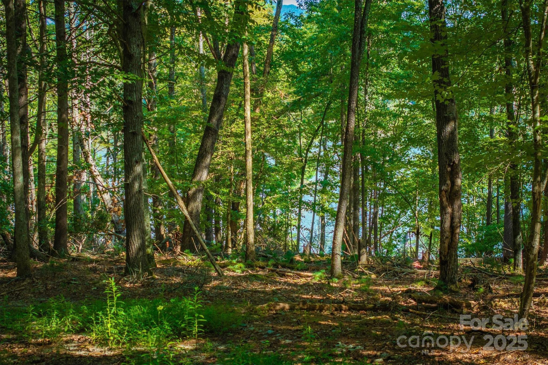 2205 Black Forest Drive #28 - Photo 17