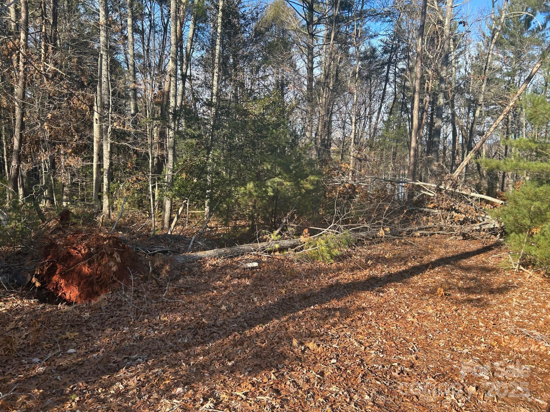 2205 Black Forest Drive #28 - Photo 18