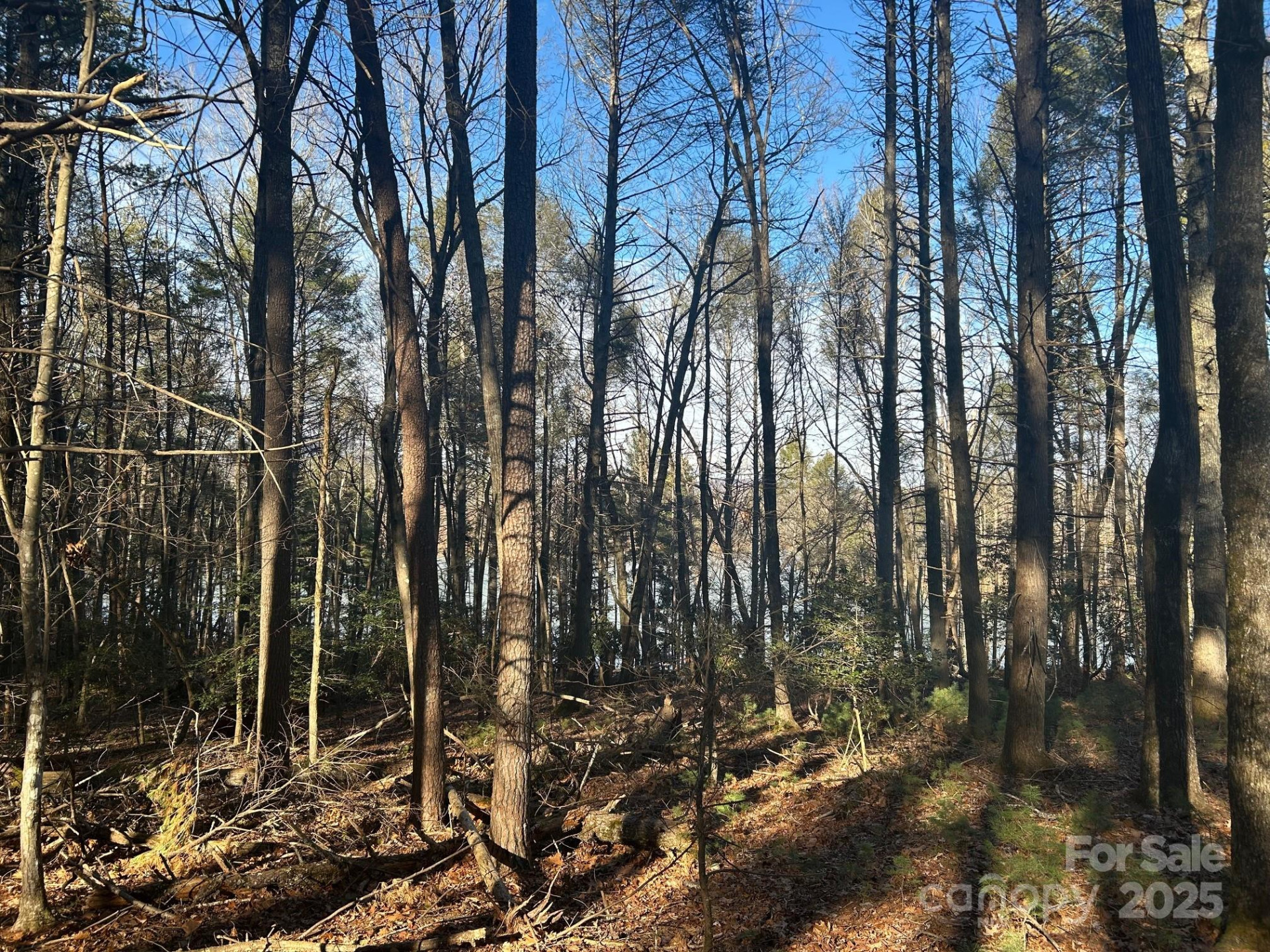 2205 Black Forest Drive #28 - Photo 19