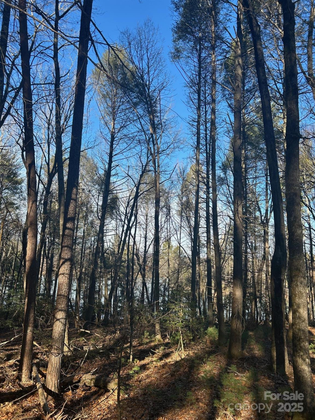 2205 Black Forest Drive #28 - Photo 20