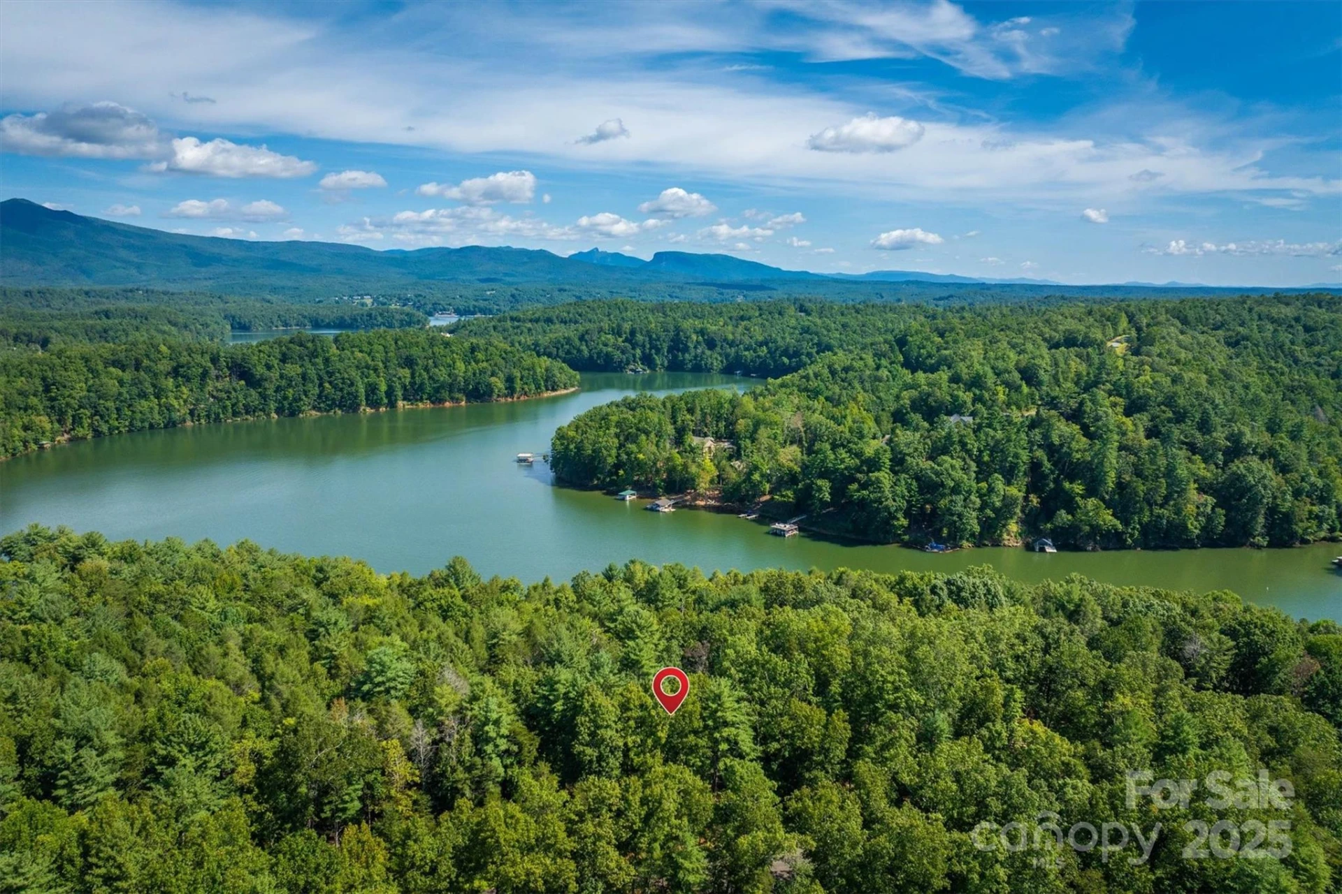 2205 Black Forest Drive #28 - Photo 3