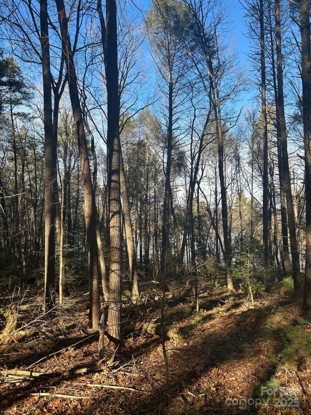 2205 Black Forest Drive #28 - Photo 22