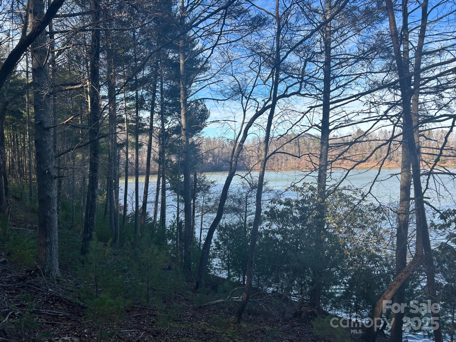 2205 Black Forest Drive #28 - Photo 24