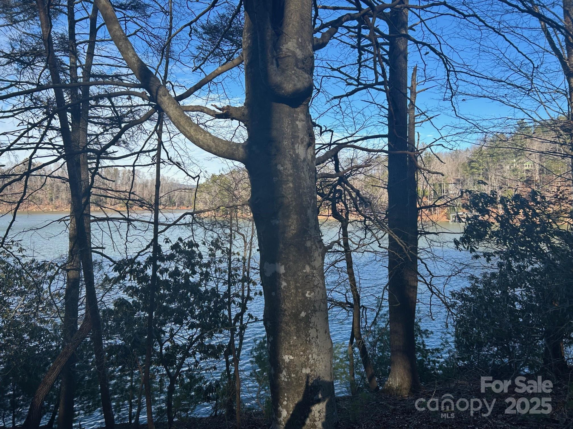 2205 Black Forest Drive #28 - Photo 25