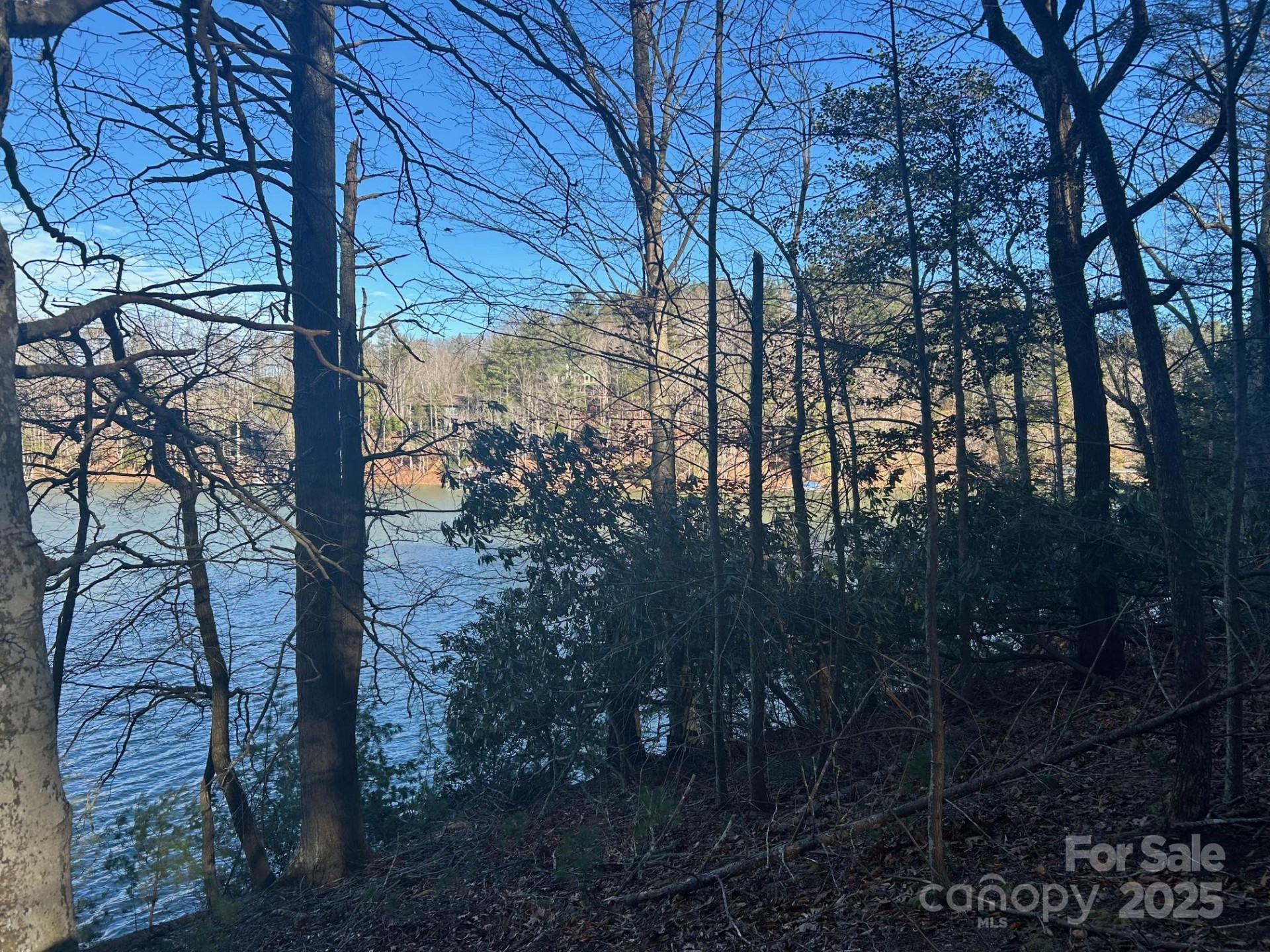 2205 Black Forest Drive #28 - Photo 26