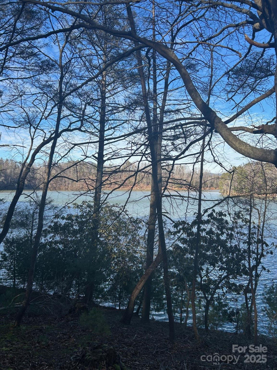 2205 Black Forest Drive #28 - Photo 27