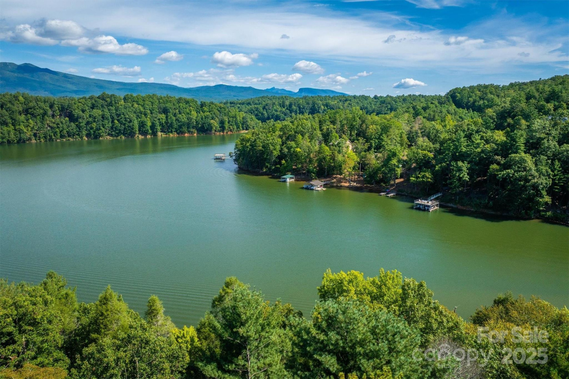 2205 Black Forest Drive #28 - Photo 4