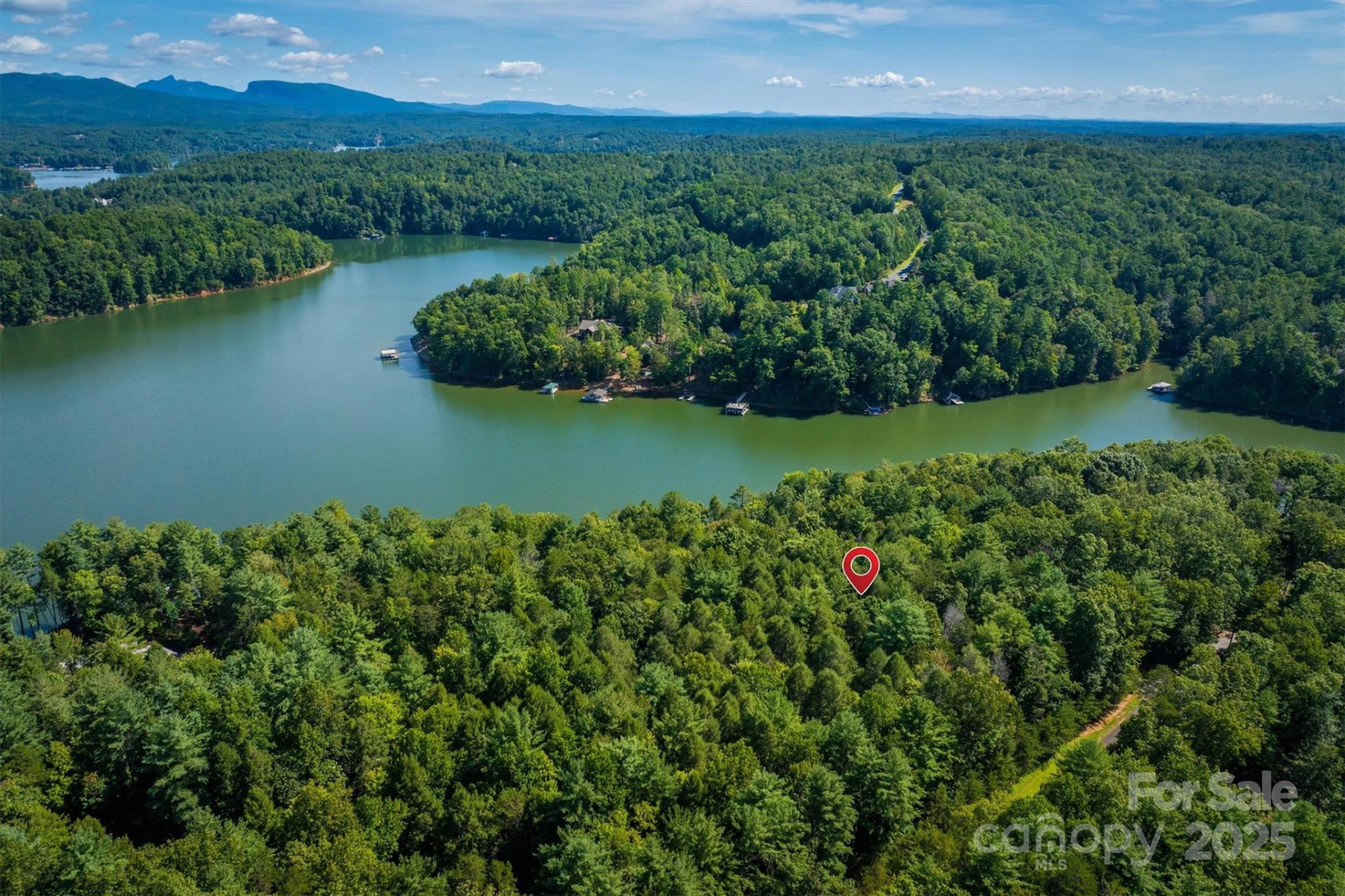 2205 Black Forest Drive #28 - Photo 5