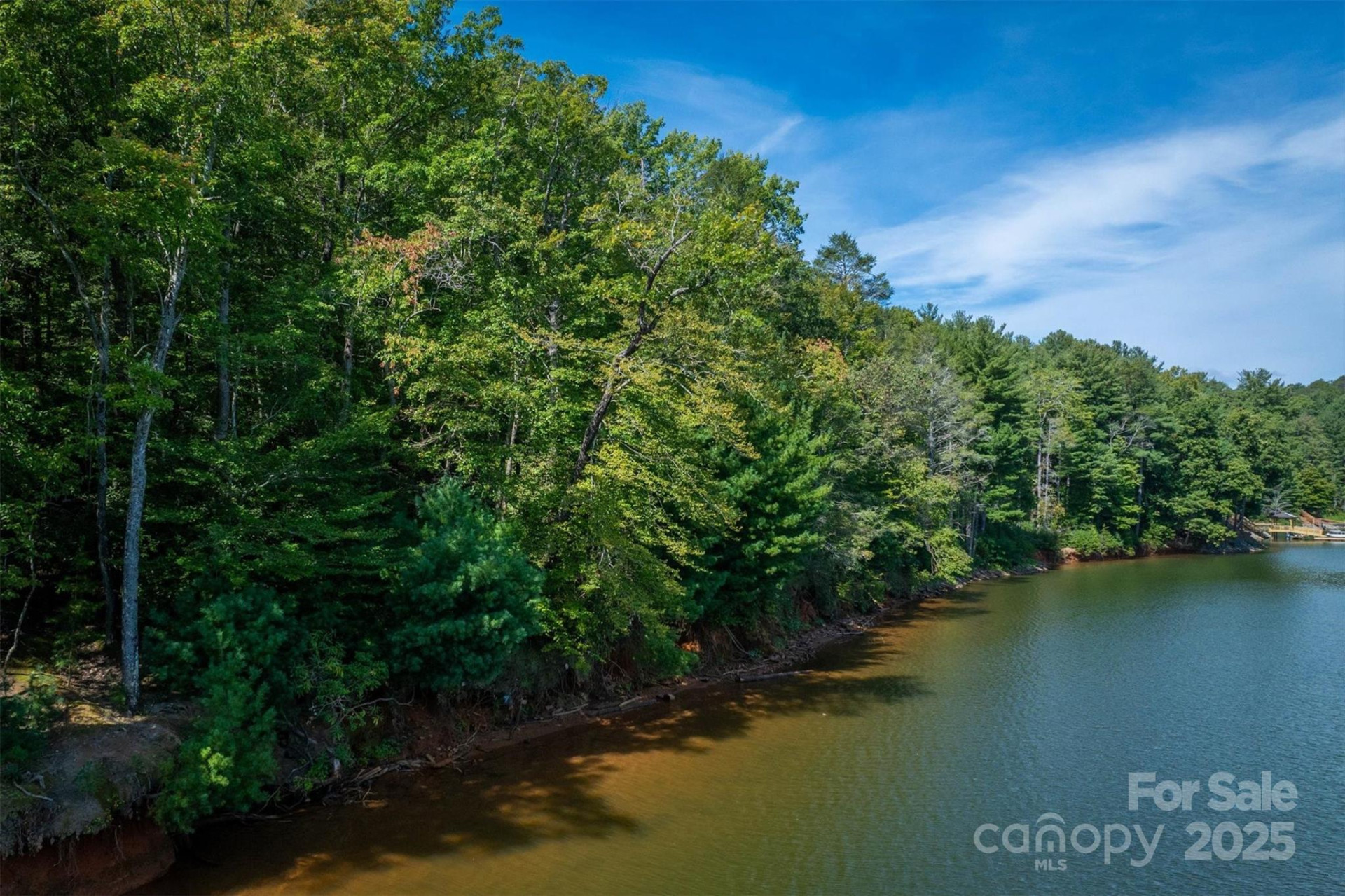 2205 Black Forest Drive #28 - Photo 10