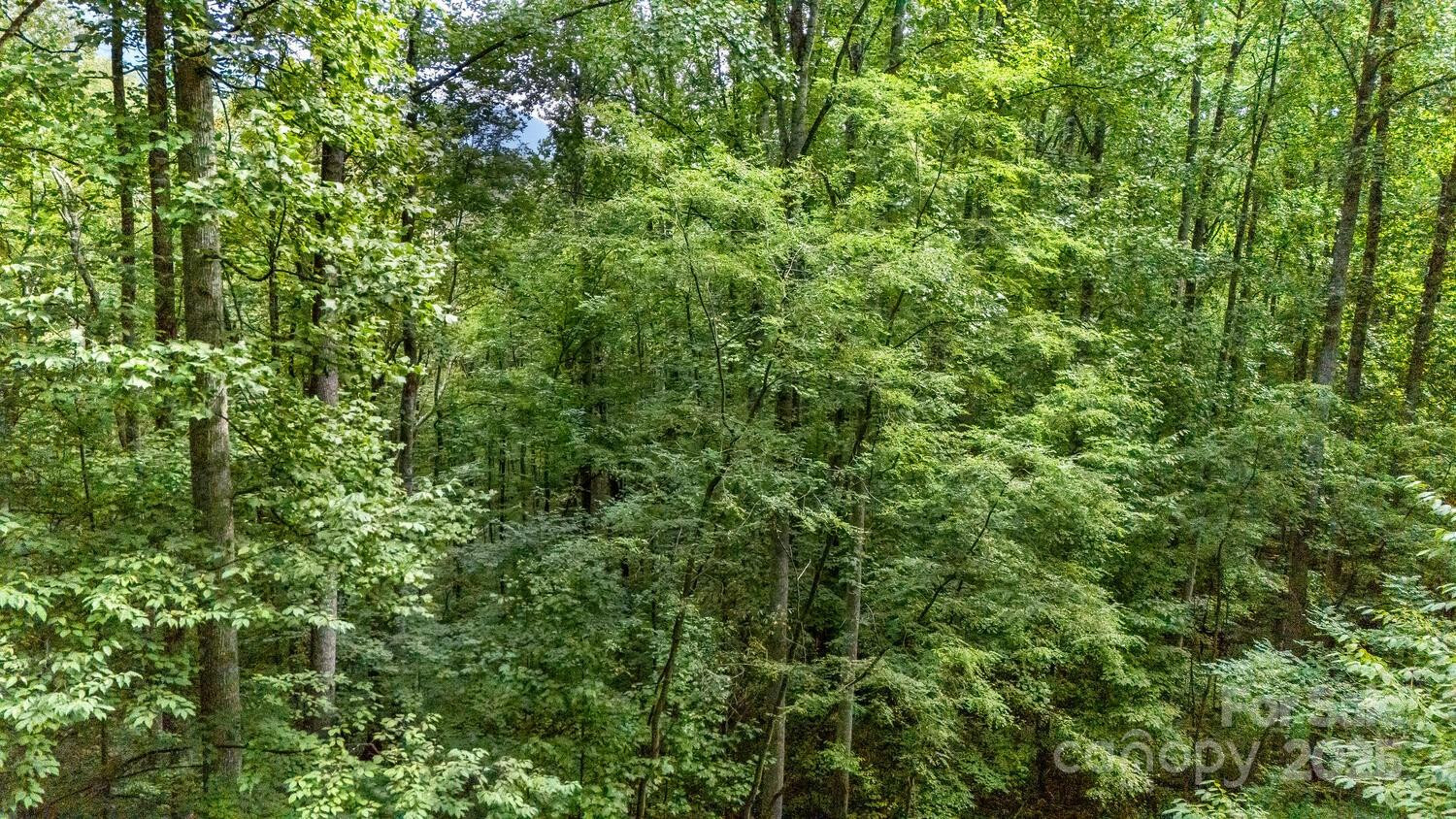 9999 Flowing Brook Lane #5 - Photo 11