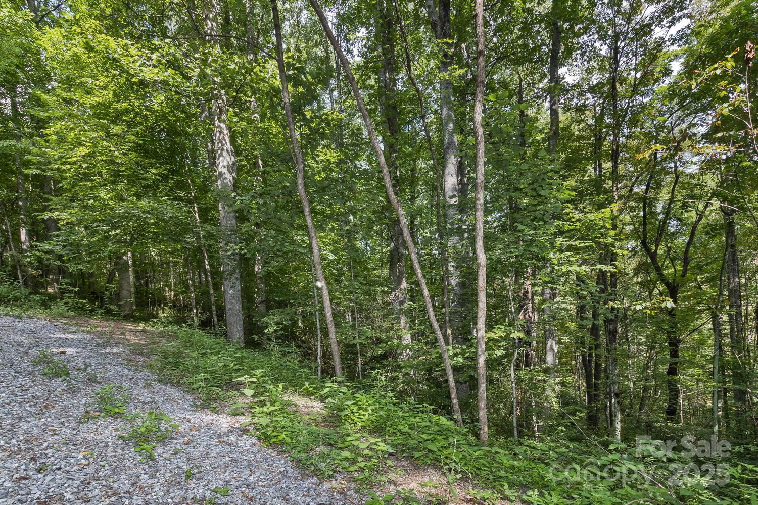 9999 Flowing Brook Lane #5 - Photo 12