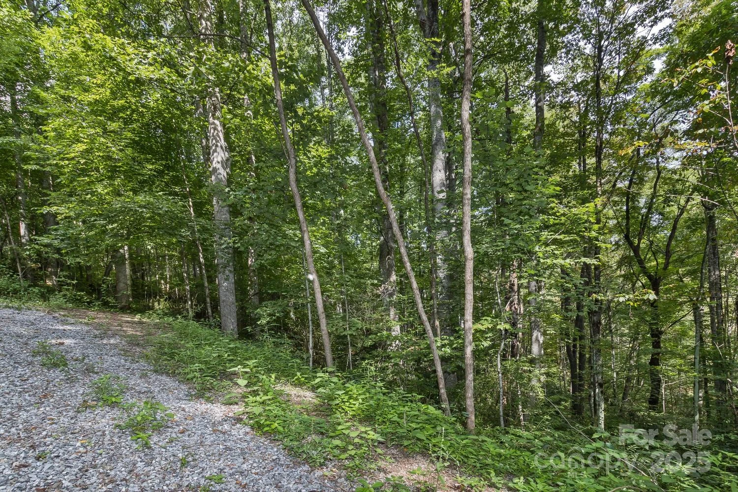 9999 Flowing Brook Lane #5 - Photo 12