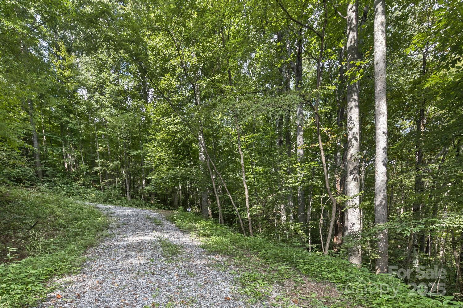 9999 Flowing Brook Lane #5 - Photo 13