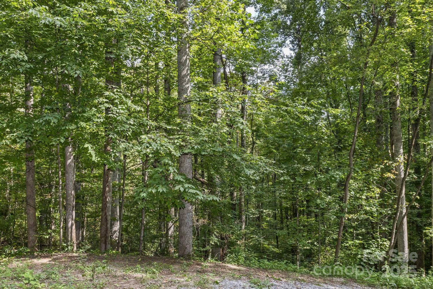 9999 Flowing Brook Lane #5 - Photo 5