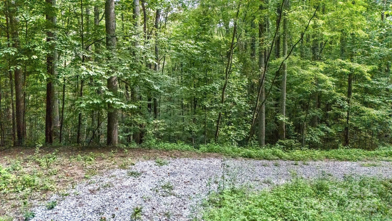 9999 Flowing Brook Lane #5 - Photo 6