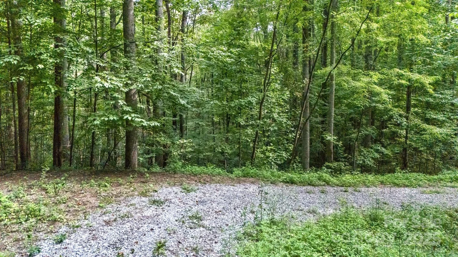 9999 Flowing Brook Lane #5 - Photo 6
