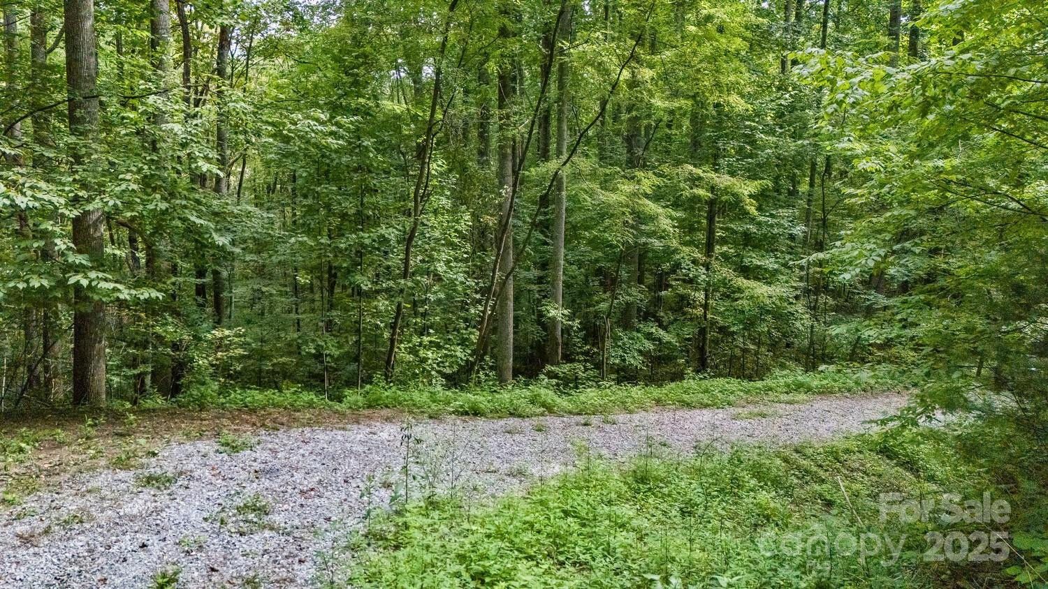 9999 Flowing Brook Lane #5 - Photo 7