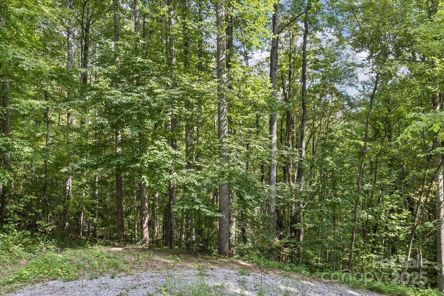 9999 Flowing Brook Lane #5 - Photo 8