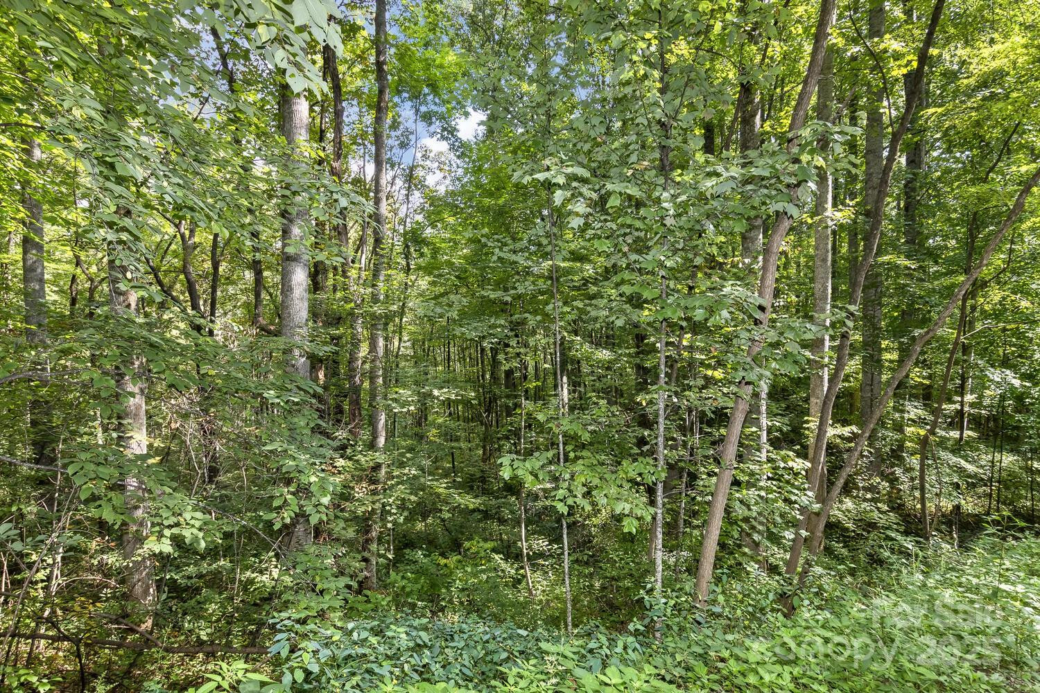 9999 Flowing Brook Lane #5 - Photo 9