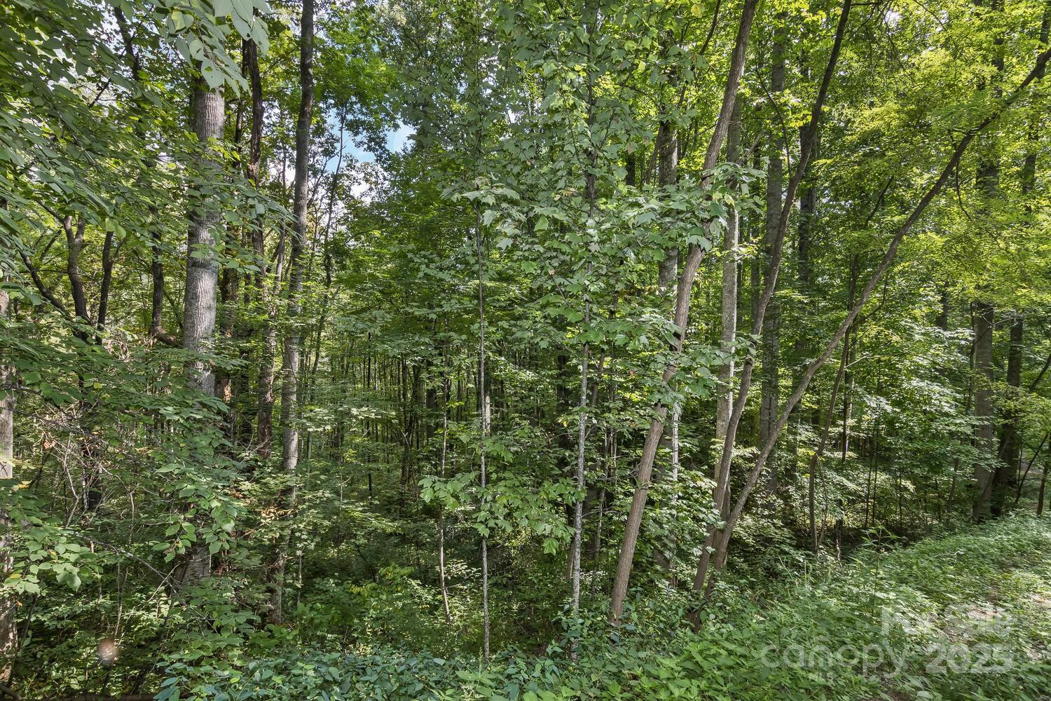 9999 Flowing Brook Lane #5 - Photo 10