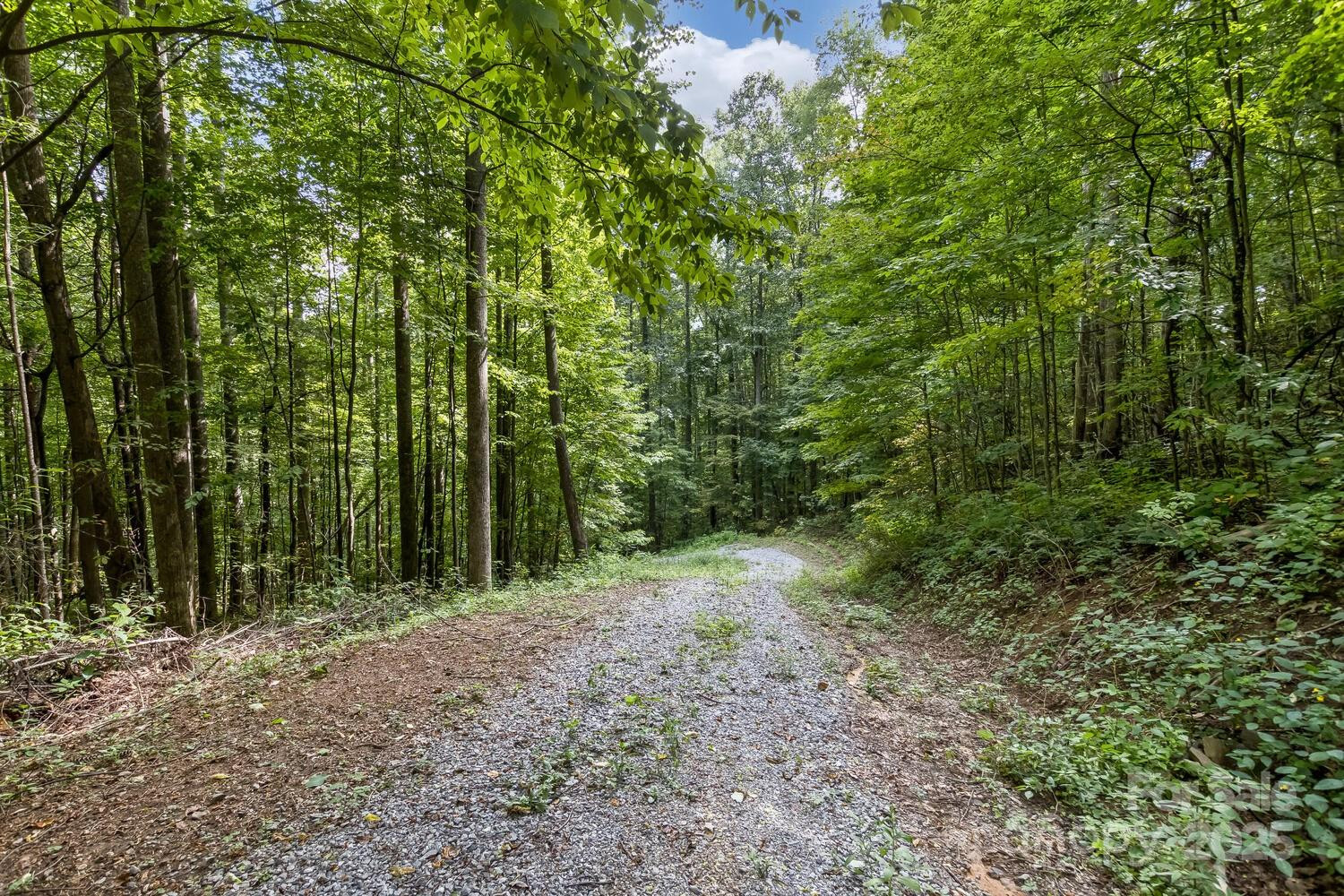 9999 Flowing Brook Lane #7 - Photo 15