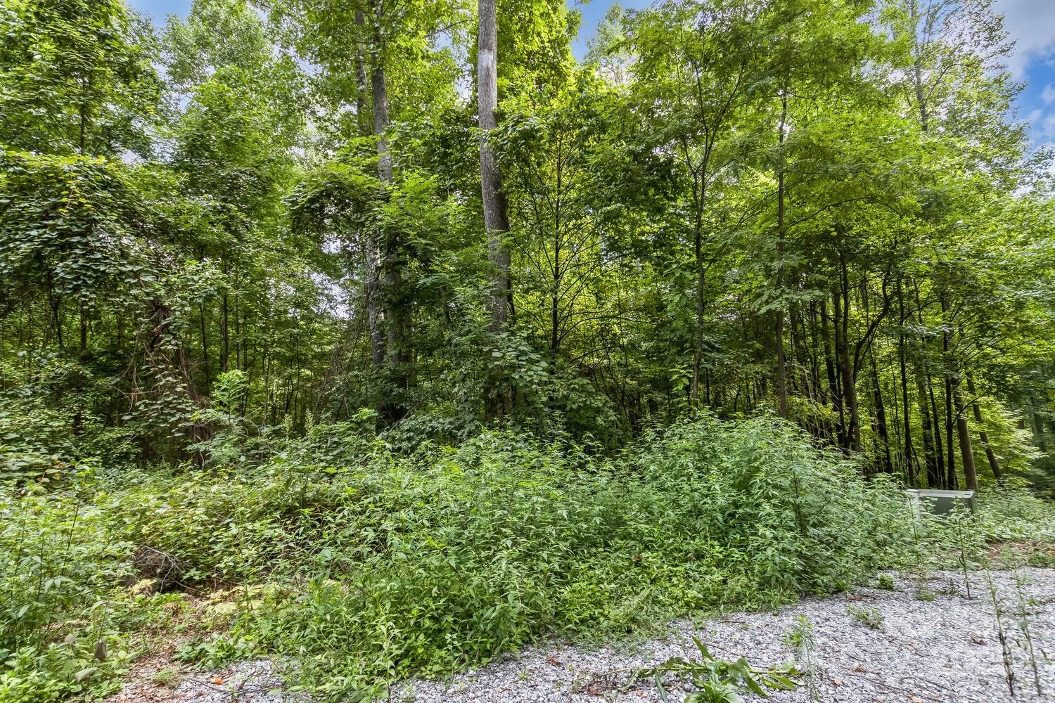 9999 Flowing Brook Lane #7 - Photo 17
