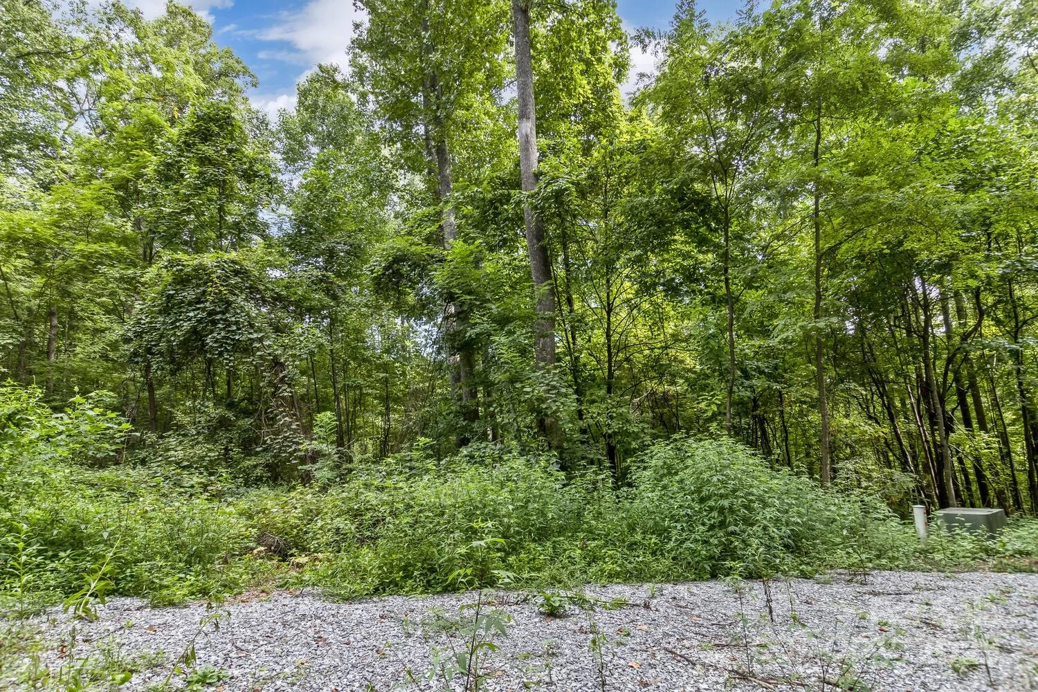 9999 Flowing Brook Lane #7 - Photo 18
