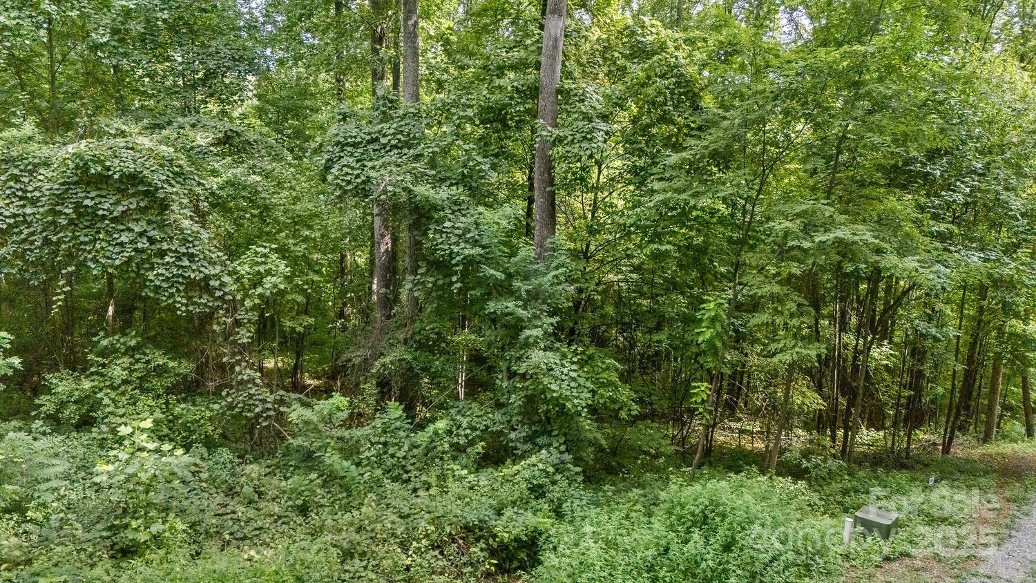 9999 Flowing Brook Lane #7 - Photo 9