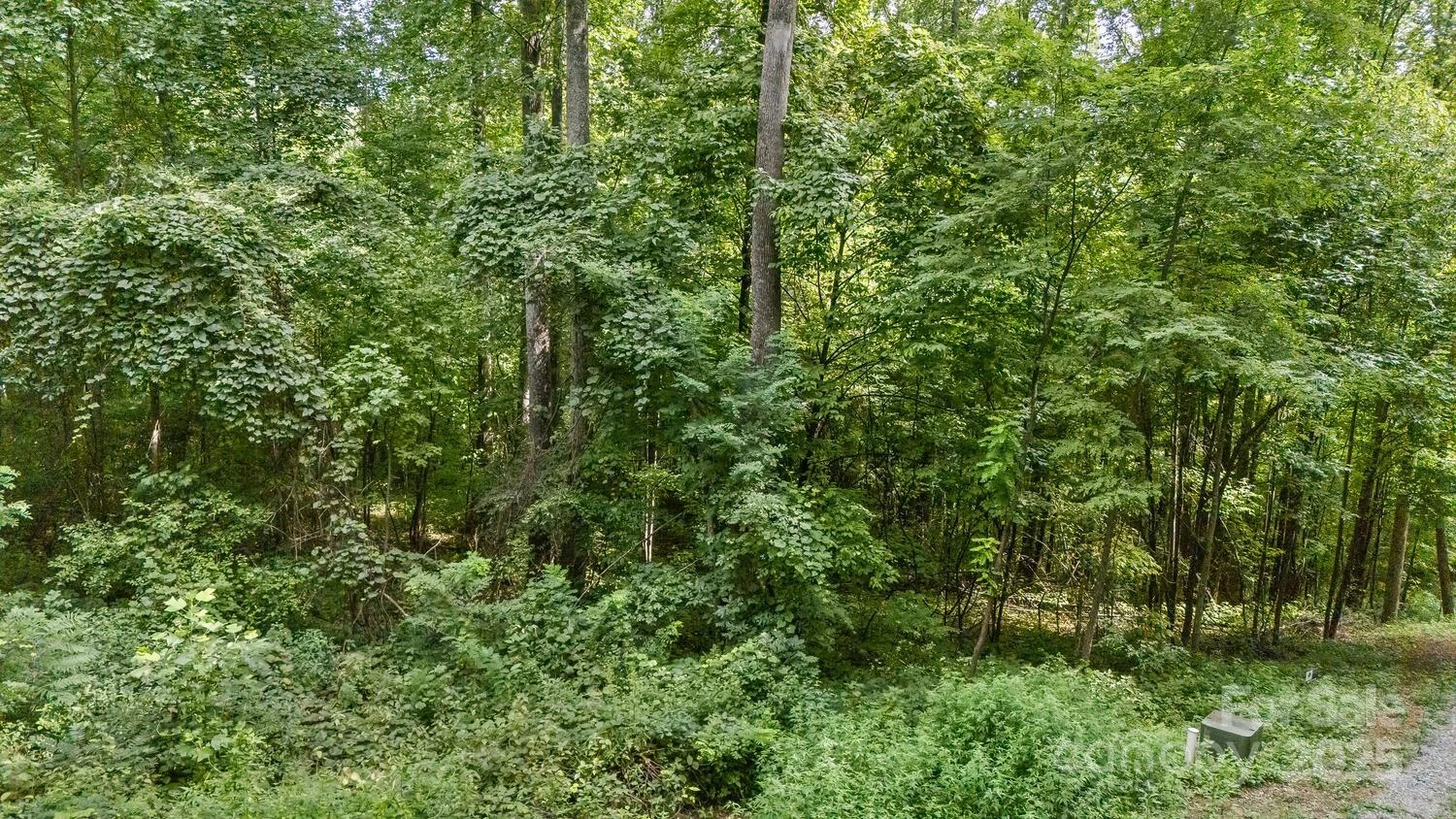 9999 Flowing Brook Lane #7 - Photo 9