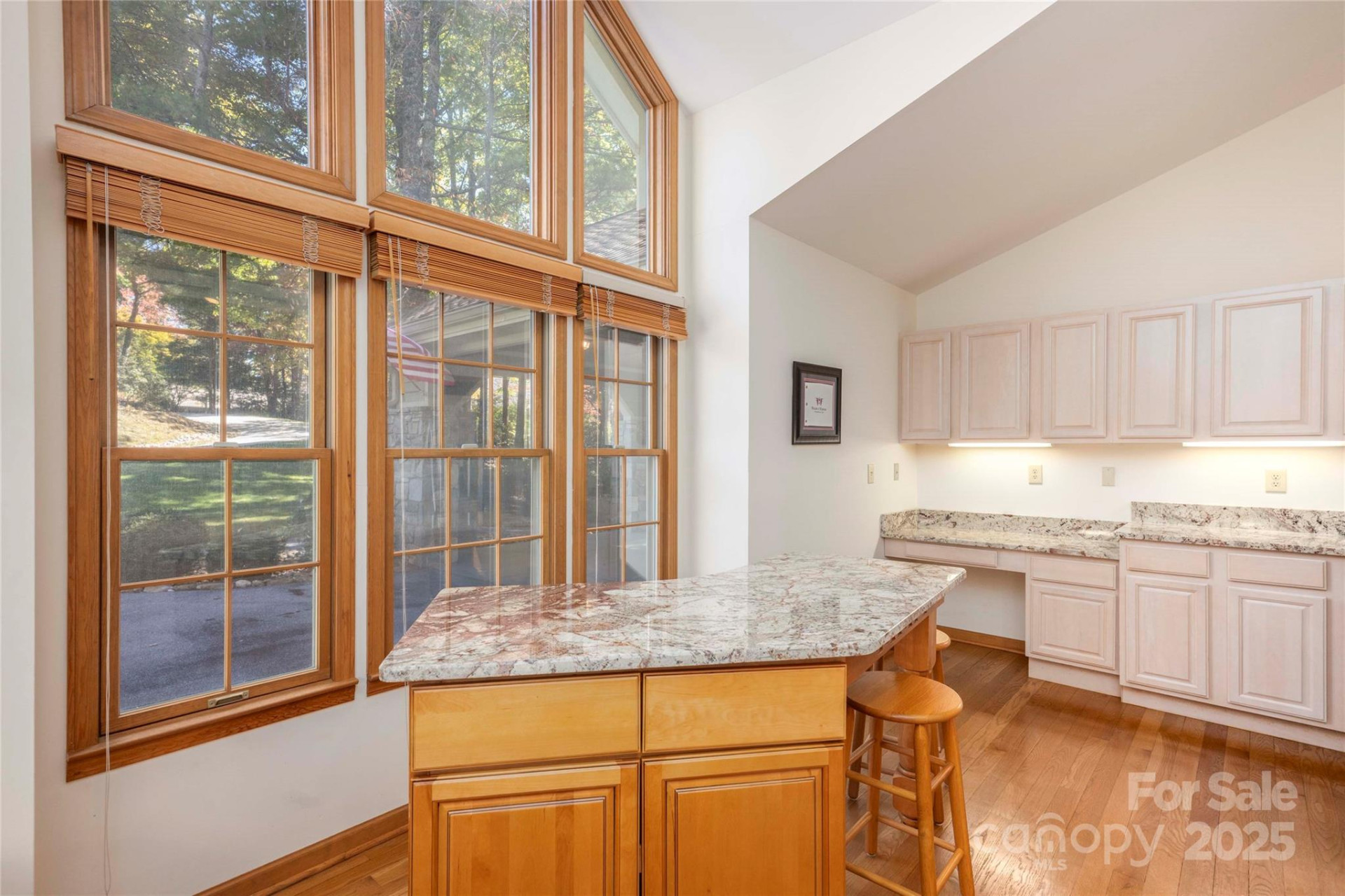 242 Club Colony Lane - Photo 13