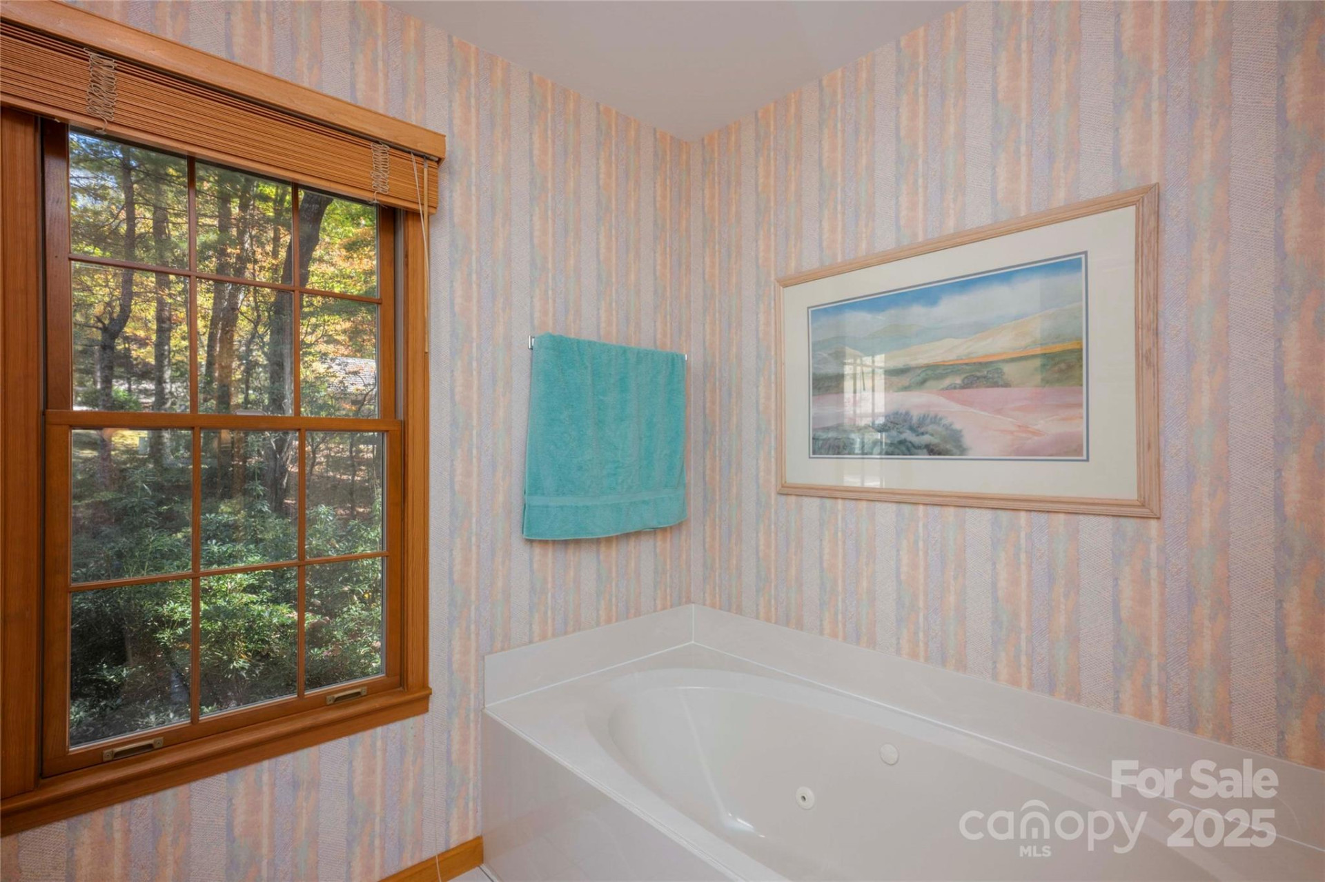 242 Club Colony Lane - Photo 27